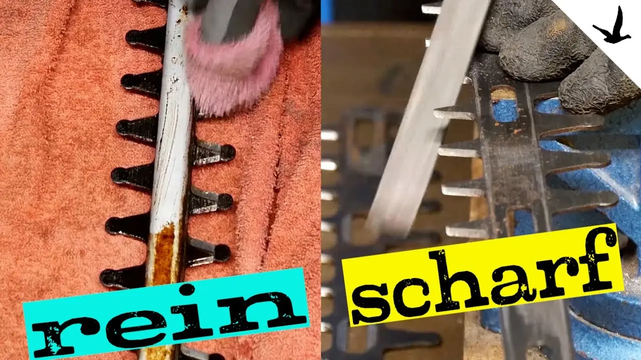 Heckenschere Zubehör: Reinigung, Wartund an 5 Modellen gezeigt