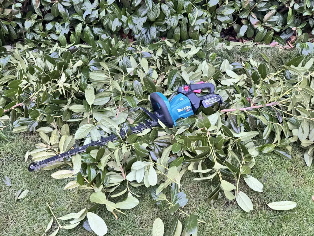 Ein gewaltiger Berg aus Kirschlorbeer-Ästen nach dem Schnitt im Februar – die Makita UH006G liegt auf dem Heckenschnitt.