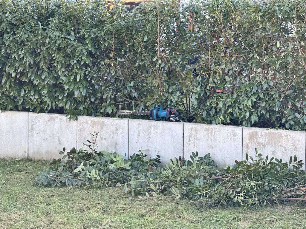 Die Makita UH006G 40V Akku-Heckenschere liegt bei einer kurzen Pause nach dem Hecke schneiden auf der Gartenmauer.