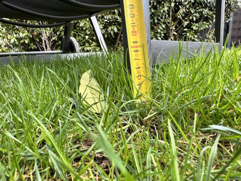 Ein Maßband im Gras zeigt die 7-cm-Regel – der perfekte Indikator, wenn dein erster Rasenschnitt im Frühjahr ansteht.