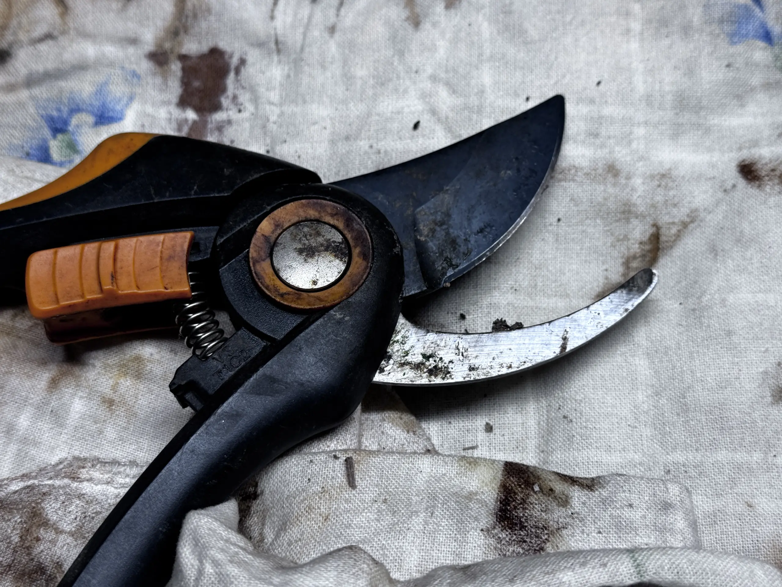 Eine gebrauchte Fiskars Gartenschere - mit Fokus auf die Schneide - man sieht deutliche Abnutzungsspuren, Harz und Kratzer auf den Klingen
