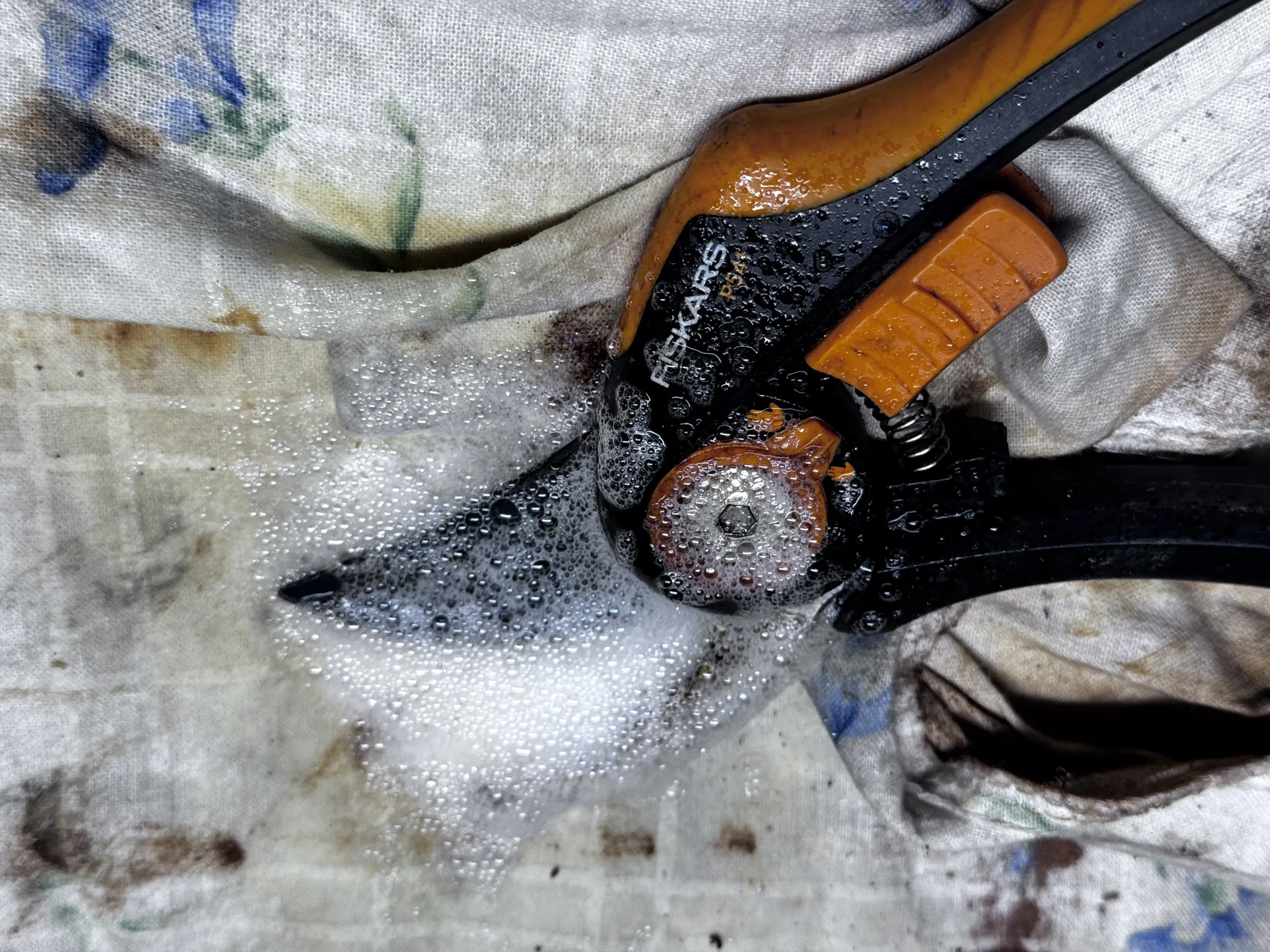 Die Schneide einer Fiskars P541 Gartenschere ist mit Ballistol Harzlöser eingesprüht, der gerade einwirkt.