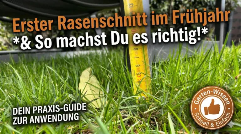 Ein Maßband im Gras zeigt eine Höhe von ca. 8 cm beim Gras an - auf dem Beitragsbild ist zu lesen "Erster Rasenschnitt im Frühjahr - so machst Du es richtig!"