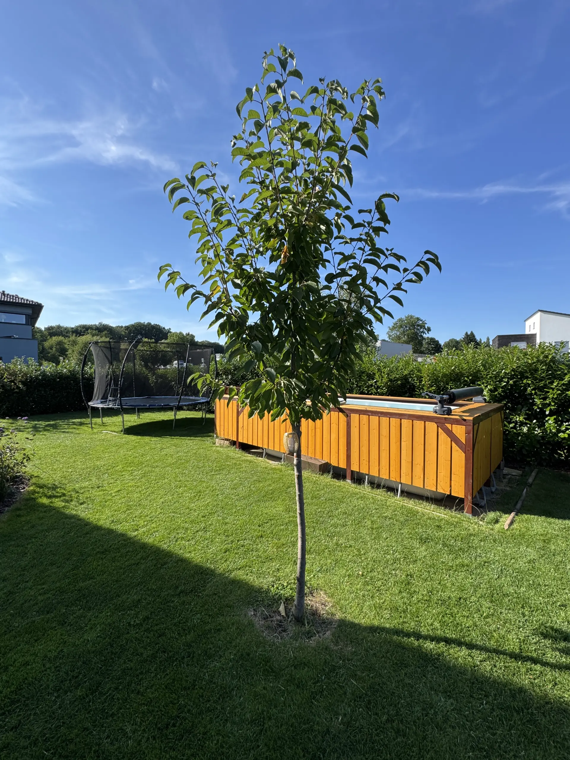 Aufstellpool verkleiden: Das fertige Holz-Podest als Wellness-Oase im Garten
