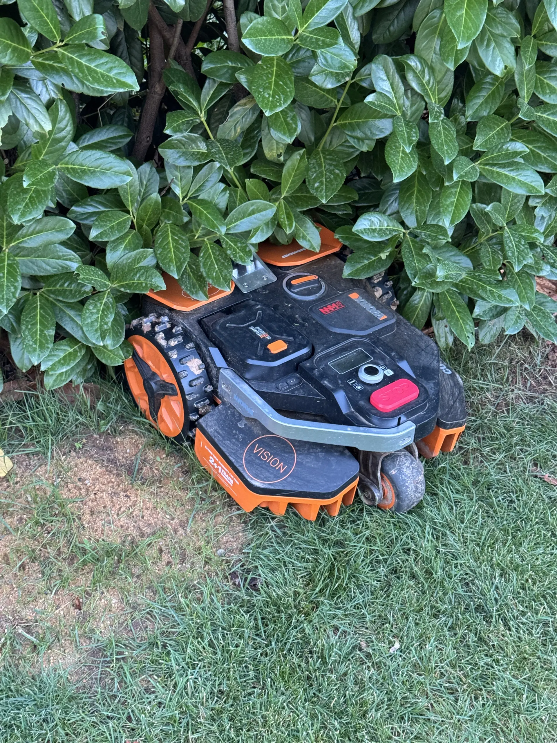 Erfahrungsbericht: Worx Mähroboter ohne Begrenzungskabel fährt wegen Kamera-Problem in die Hecke
