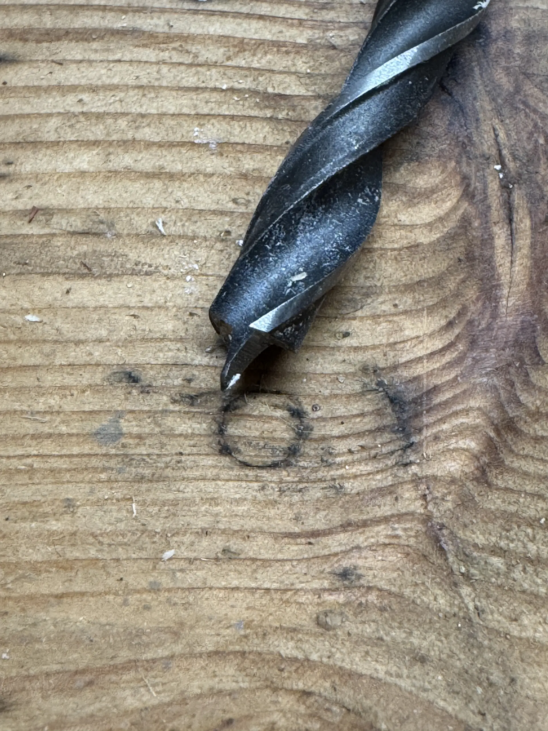 Gebrauchter Holzspiralbohrer mit deutlich sichtbarer Zentrierspitze und Schneiden