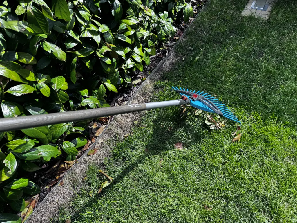 Laub aus Beeten entfernen mit Fächerrechen am Rand einer Hecke