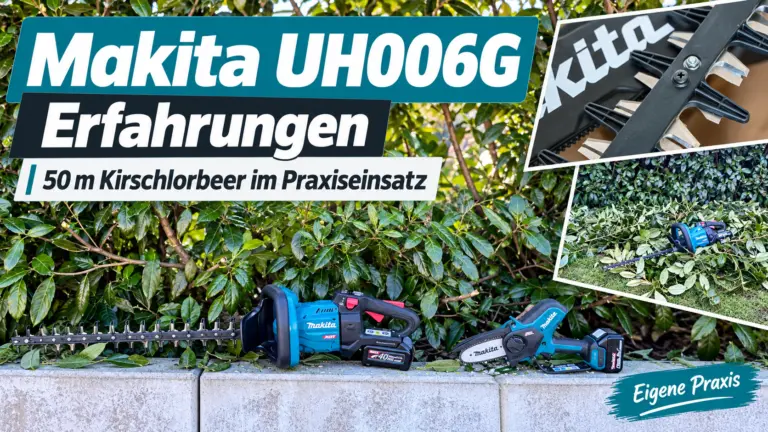 Makita UH006G Erfahrungen beim Schnitt einer rund 50 Meter langen Kirschlorbeerhecke