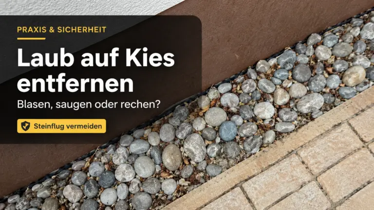 Laub auf Kies entfernen am Spritzschutz neben dem Haus