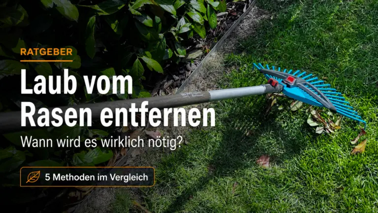Laub vom Rasen entfernen: Laub auf dem Rasen und Reinigung am Beetrand in der Praxis