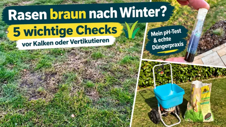 Rasen braun nach Winter – braune Rasenstellen im eigenen Garten mit pH-Bodentest und Rasendünger