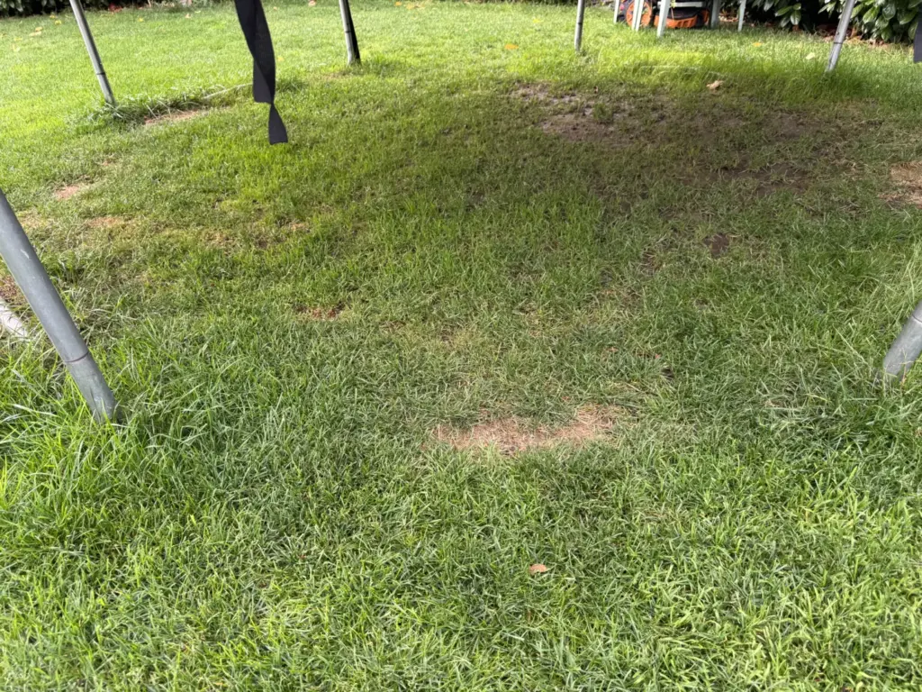 Lückiger Rasen mit sichtbaren Bodenstellen unter einem Trampolingestell.