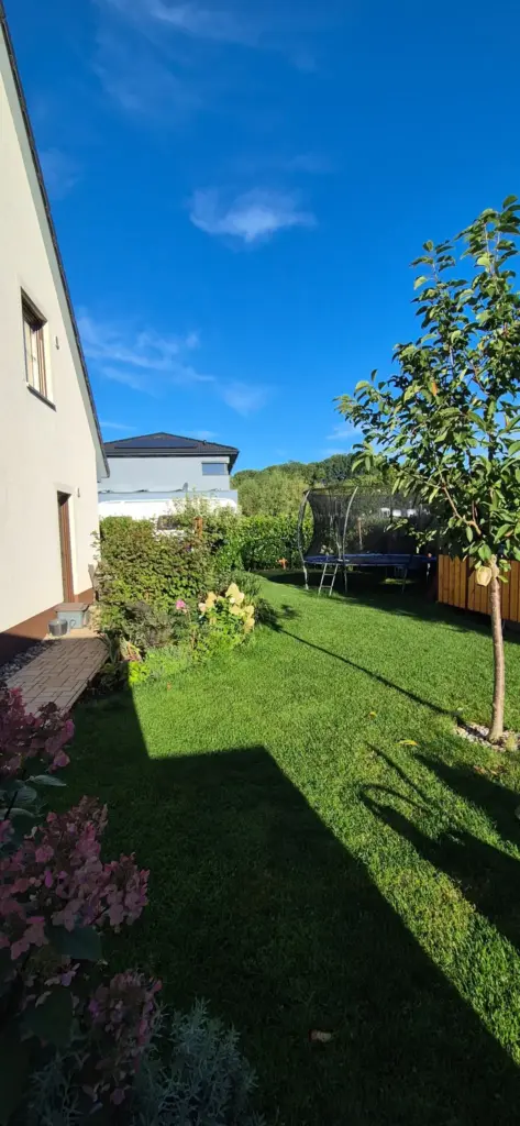 Rasenfläche zwischen Haus, Beet, Baum und Trampolin