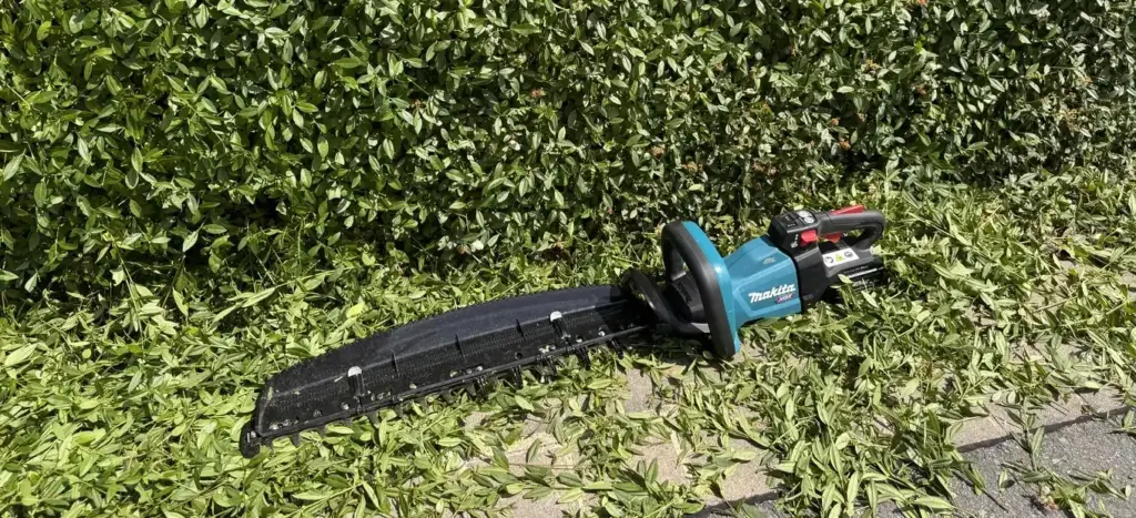Makita UH006G mit Schnittgutsammler am Messerbalken bei der Heckenpflege